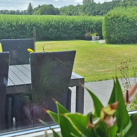 With A Wonderful View *